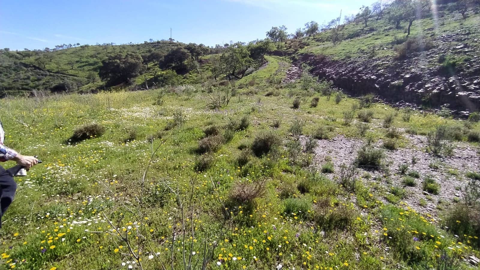 Terreno Non Edificato in vendita in Cartama - 55.000 € (Rif: 9506017)