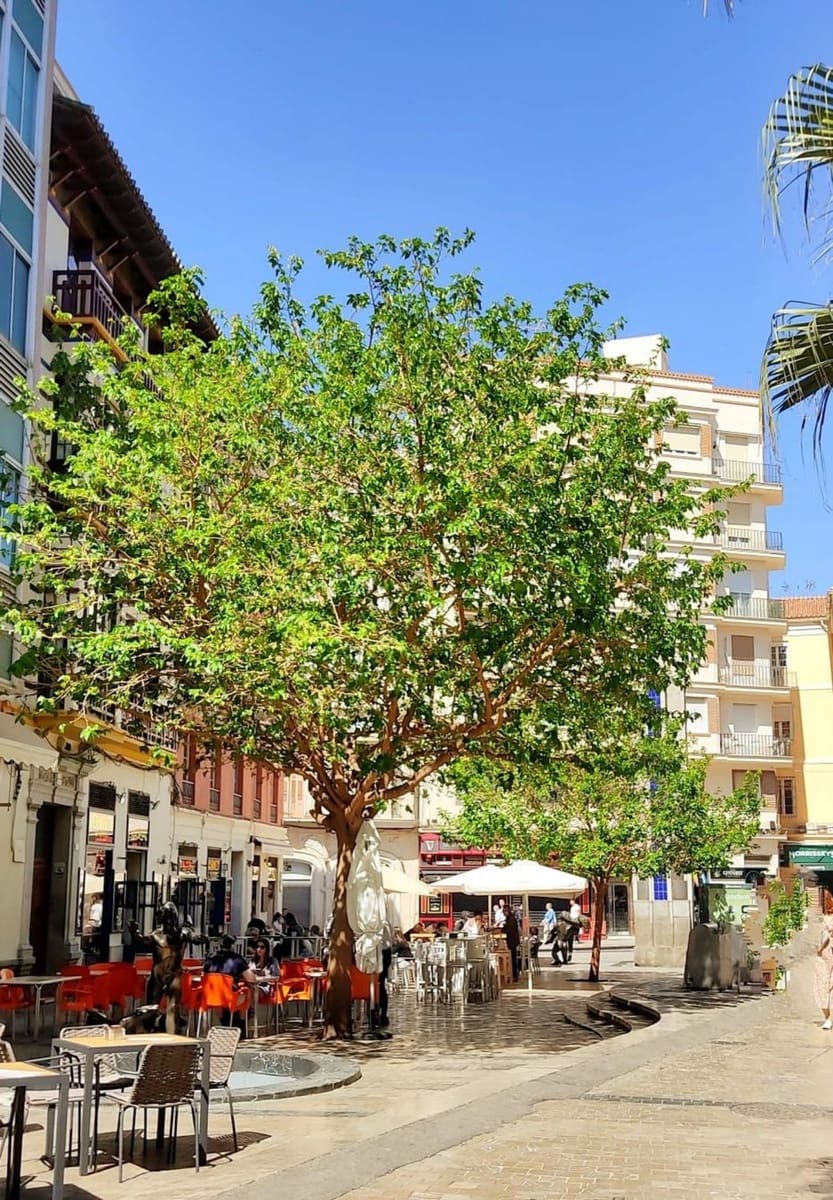 Piso de 3 habitaciones en Málaga ciudad en venta - 1.395.000 € (Ref: 9506018)