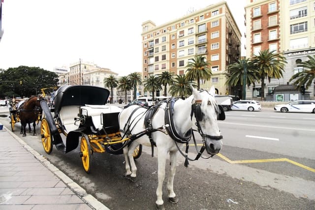 4 chambre Appartement à vendre à Malaga ville - 469 000 € (Ref: 9506032)