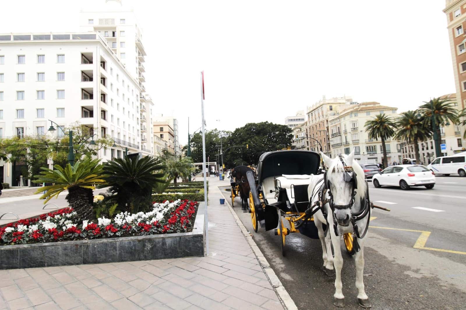 4 chambre Appartement à vendre à Malaga ville - 469 000 € (Ref: 9506032)