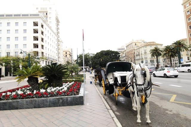 4 chambre Appartement à vendre à Malaga ville - 469 000 € (Ref: 9506032)