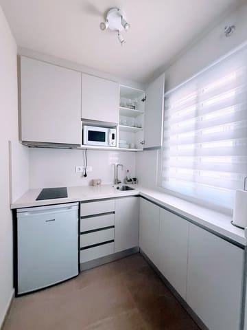 1 quarto Apartamento para venda em Málaga cidade - 286 000 € (Ref: 9506038)