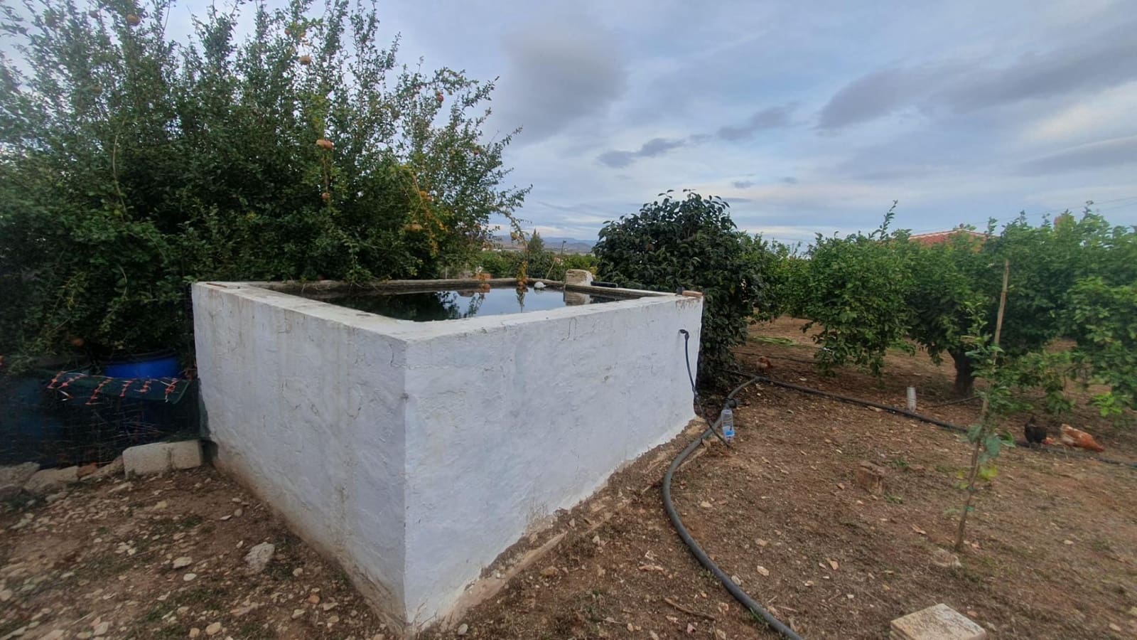 3 sypialnia Finka/Dom wiejski na sprzedaż w Cartama z basenem - 440 500 € (Ref: 9506069)