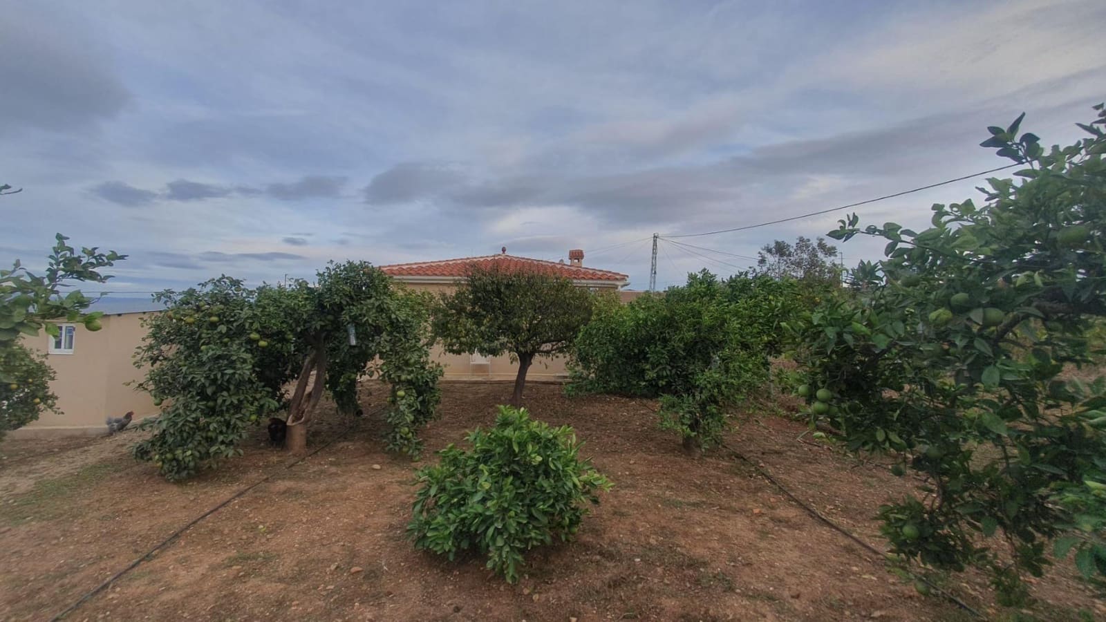 3 sypialnia Finka/Dom wiejski na sprzedaż w Cartama z basenem - 440 500 € (Ref: 9506069)