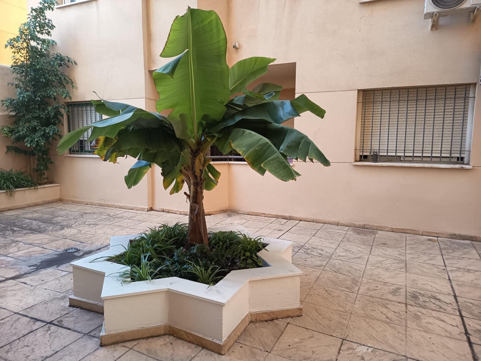 1 bedroom Flat for rent in Malaga city - € 850 (Ref: 9513491)