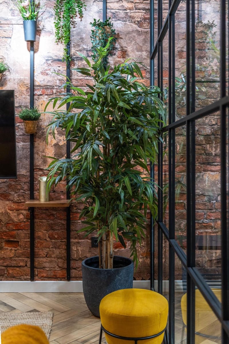 1 Zimmer Loft zu verkaufen in Granada Stadt - 139.000 € (Ref: 9674862)