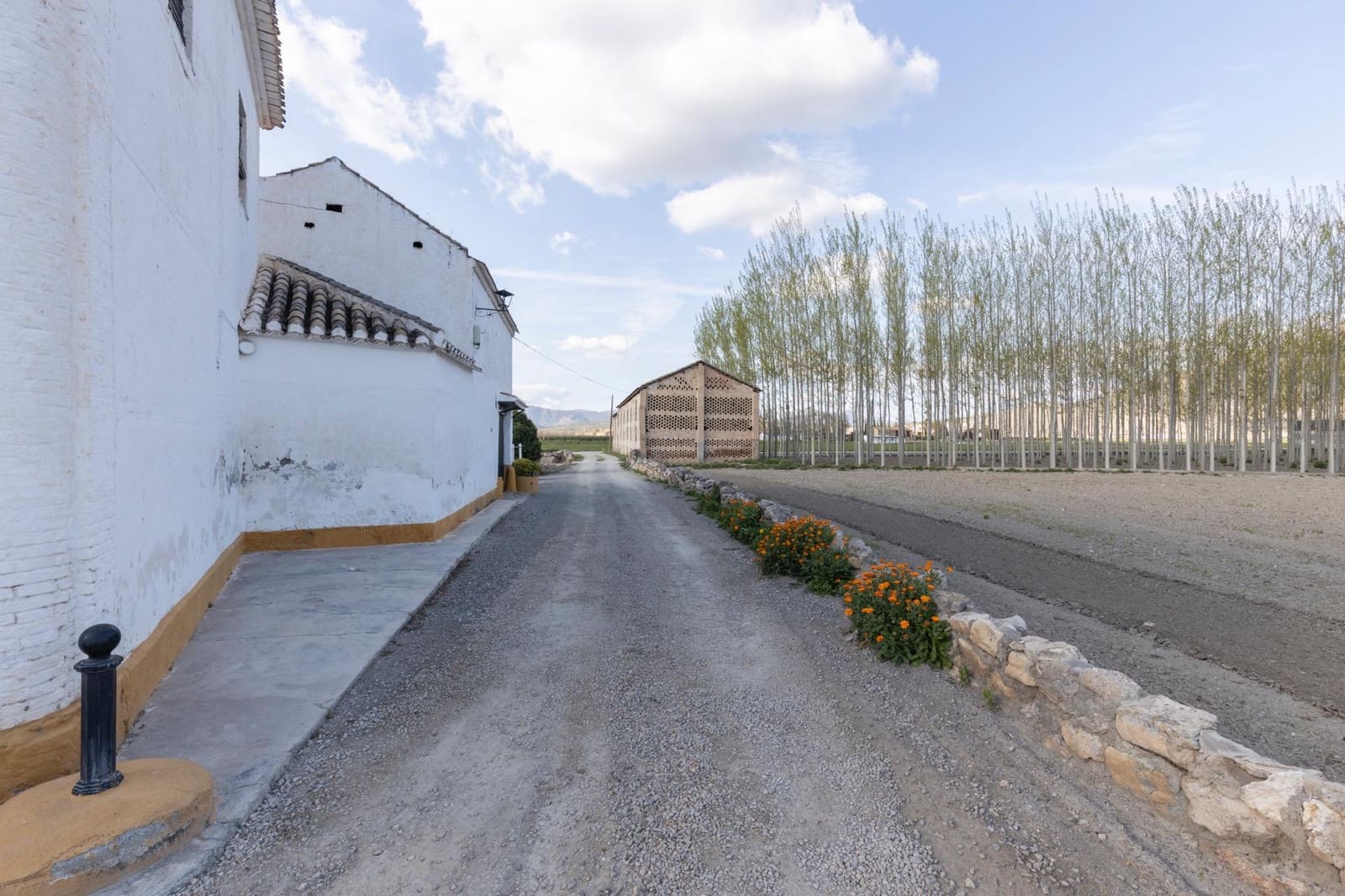 Finca/Casa Rural de 3 habitaciones en Pinos Puente en venta - 16.900 € (Ref: 9674875)