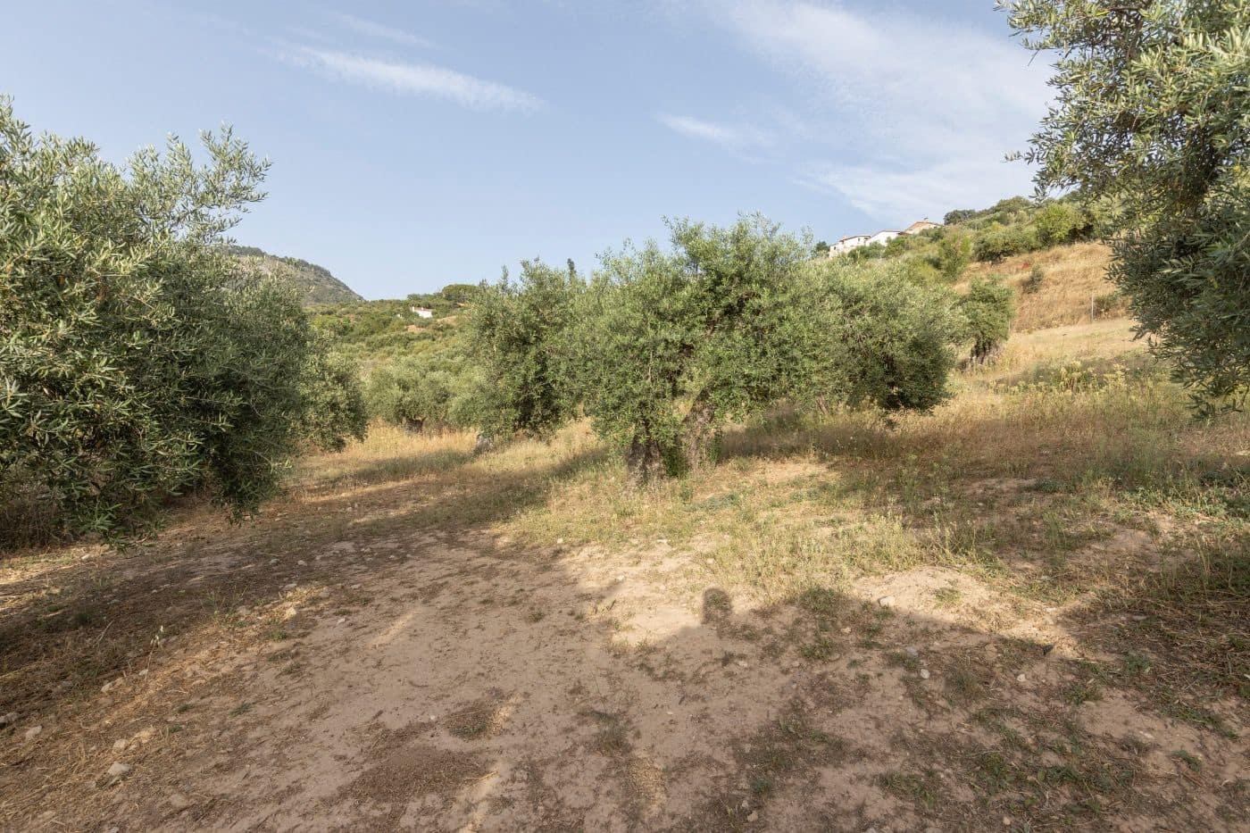 6 soverom Finca/Herregård til salgs i Alfacar med svømmebasseng garasje - € 790 000 (Ref: 9674876)