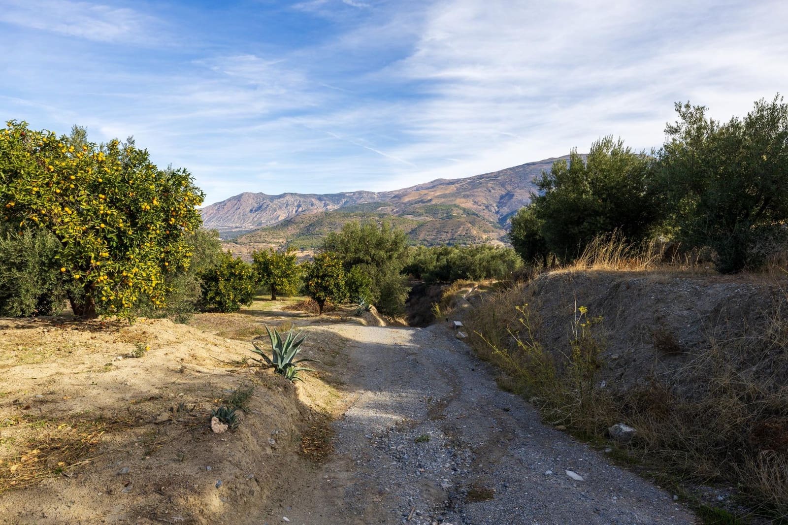 Terreno Não Urbanizado para venda em Lecrin - 140 000 € (Ref: 9674899)