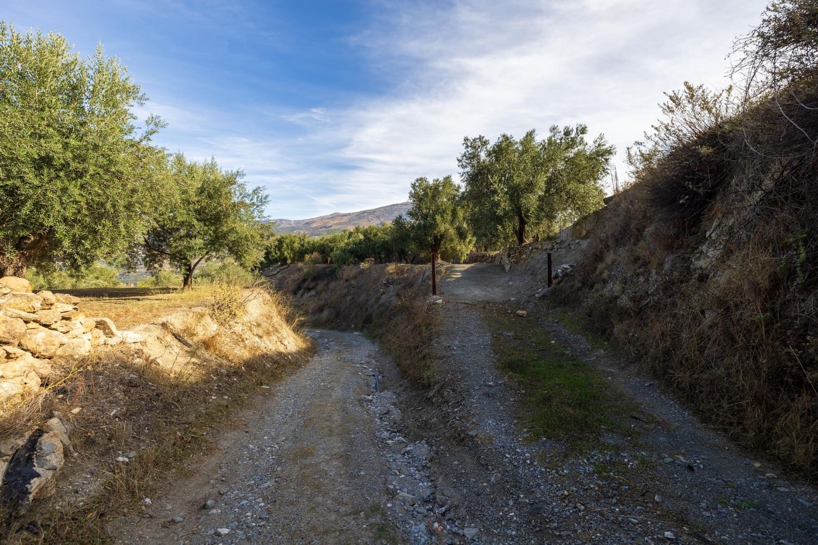 Terreno Não Urbanizado para venda em Lecrin - 140 000 € (Ref: 9674899)