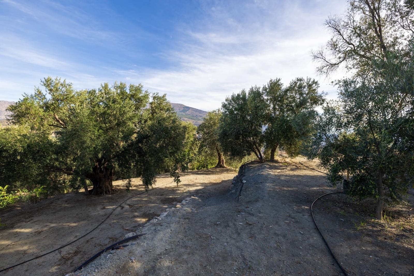 Terreno Não Urbanizado para venda em Lecrin - 140 000 € (Ref: 9674899)