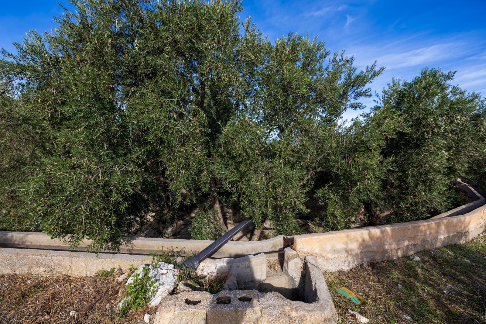 Terreno Não Urbanizado para venda em Lecrin - 140 000 € (Ref: 9674899)