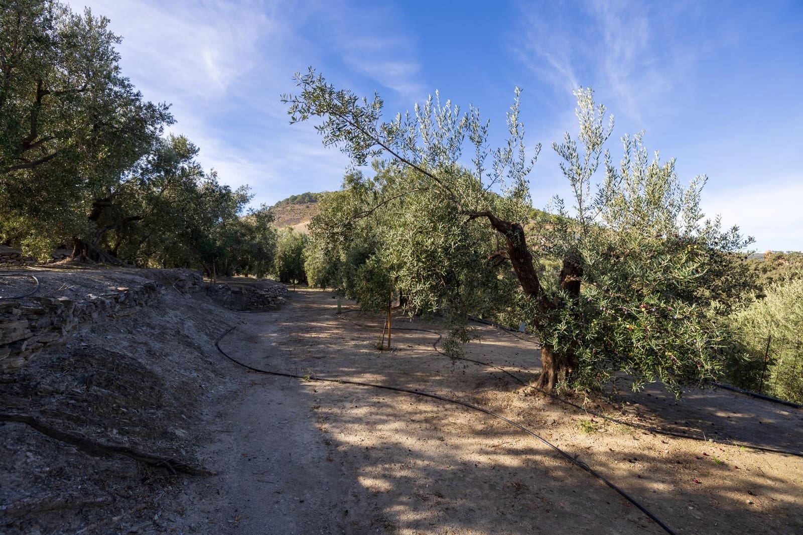 Terreno Não Urbanizado para venda em Lecrin - 140 000 € (Ref: 9674899)