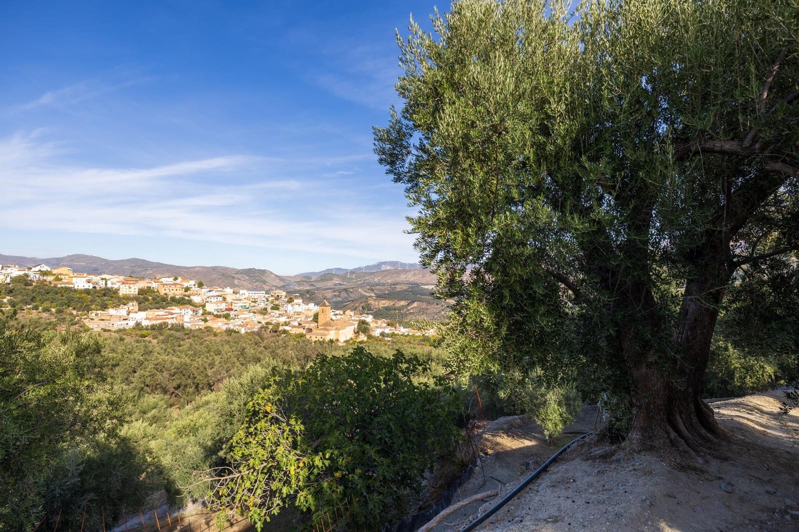 Terreno Não Urbanizado para venda em Lecrin - 140 000 € (Ref: 9674899)