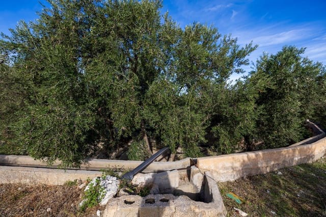 Terreno Não Urbanizado para venda em Lecrín - 140 000 € (Ref: 9674899)