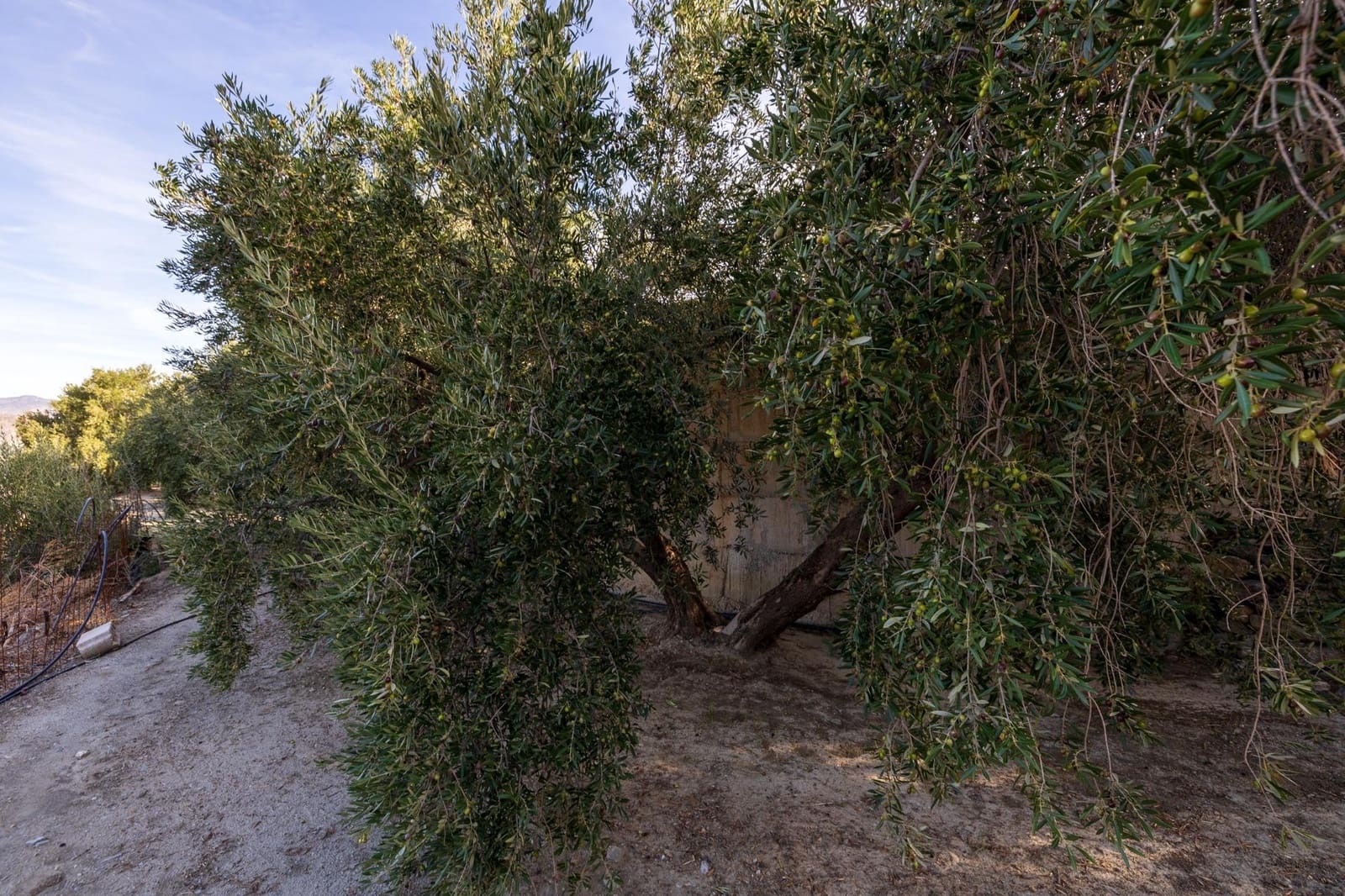 Terreno Não Urbanizado para venda em Lecrin - 140 000 € (Ref: 9674899)