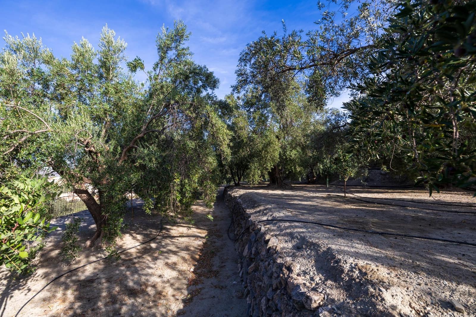 Terreno Não Urbanizado para venda em Lecrin - 140 000 € (Ref: 9674899)