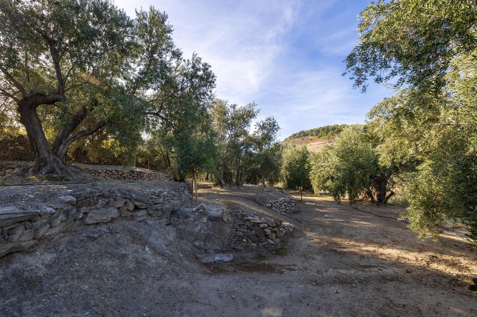 Terreno Não Urbanizado para venda em Lecrin - 140 000 € (Ref: 9674899)