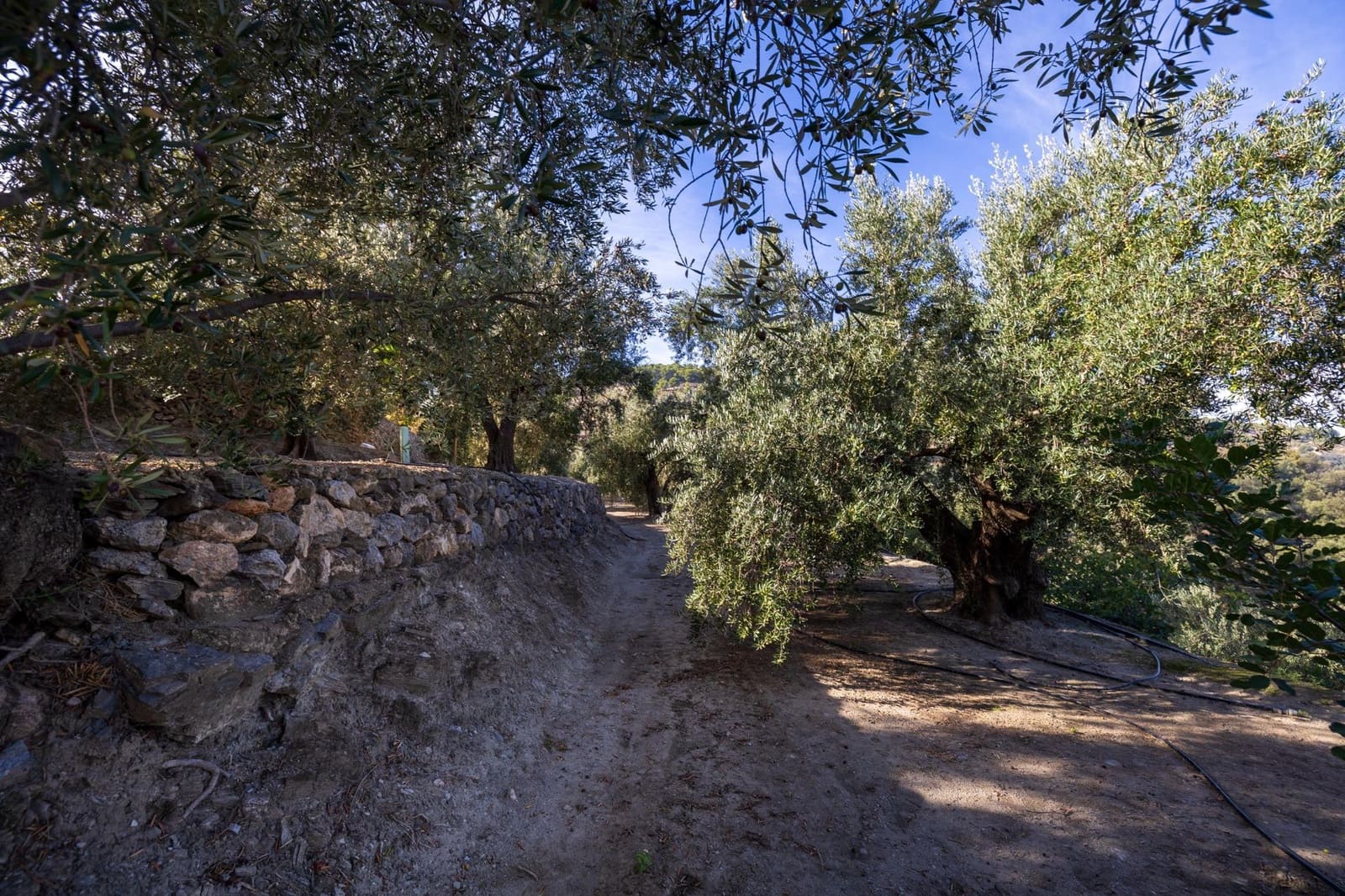 Terreno Não Urbanizado para venda em Lecrin - 140 000 € (Ref: 9674899)