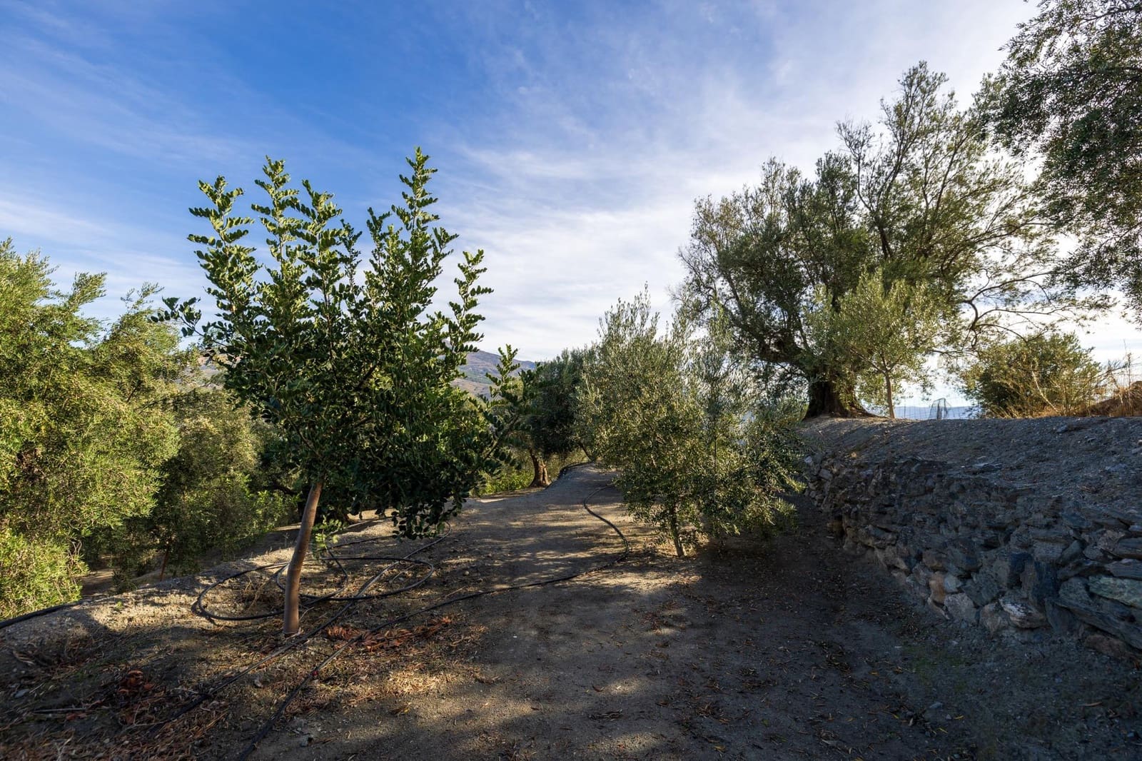 Terreno Não Urbanizado para venda em Lecrin - 140 000 € (Ref: 9674899)