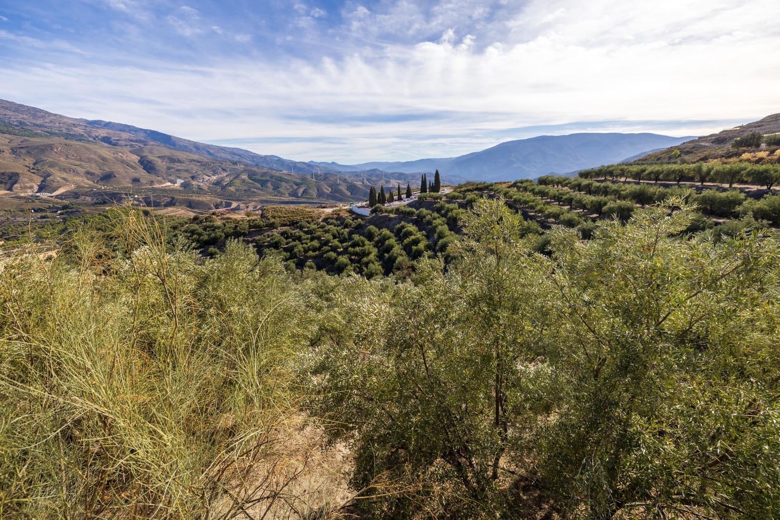 Terreno Não Urbanizado para venda em Lecrin - 140 000 € (Ref: 9674899)