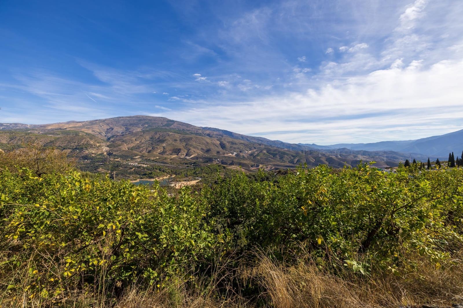 Terreno Não Urbanizado para venda em Lecrin - 140 000 € (Ref: 9674899)