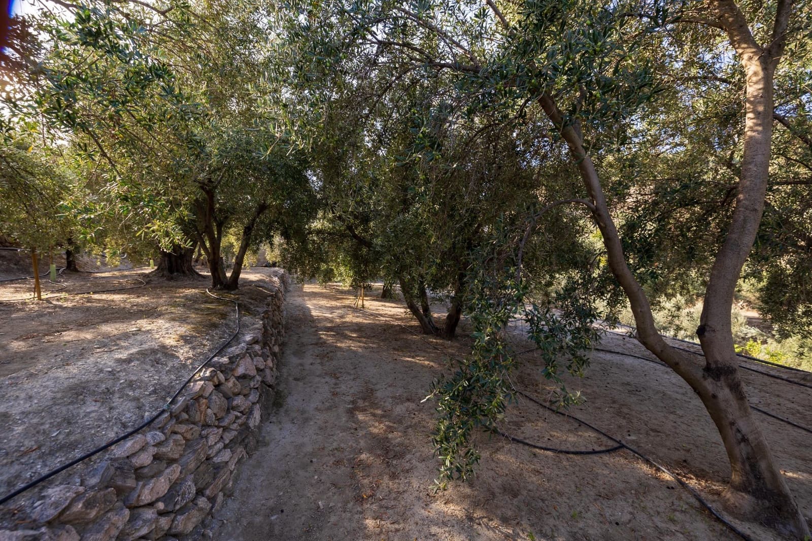 Terreno Não Urbanizado para venda em Lecrin - 140 000 € (Ref: 9674899)