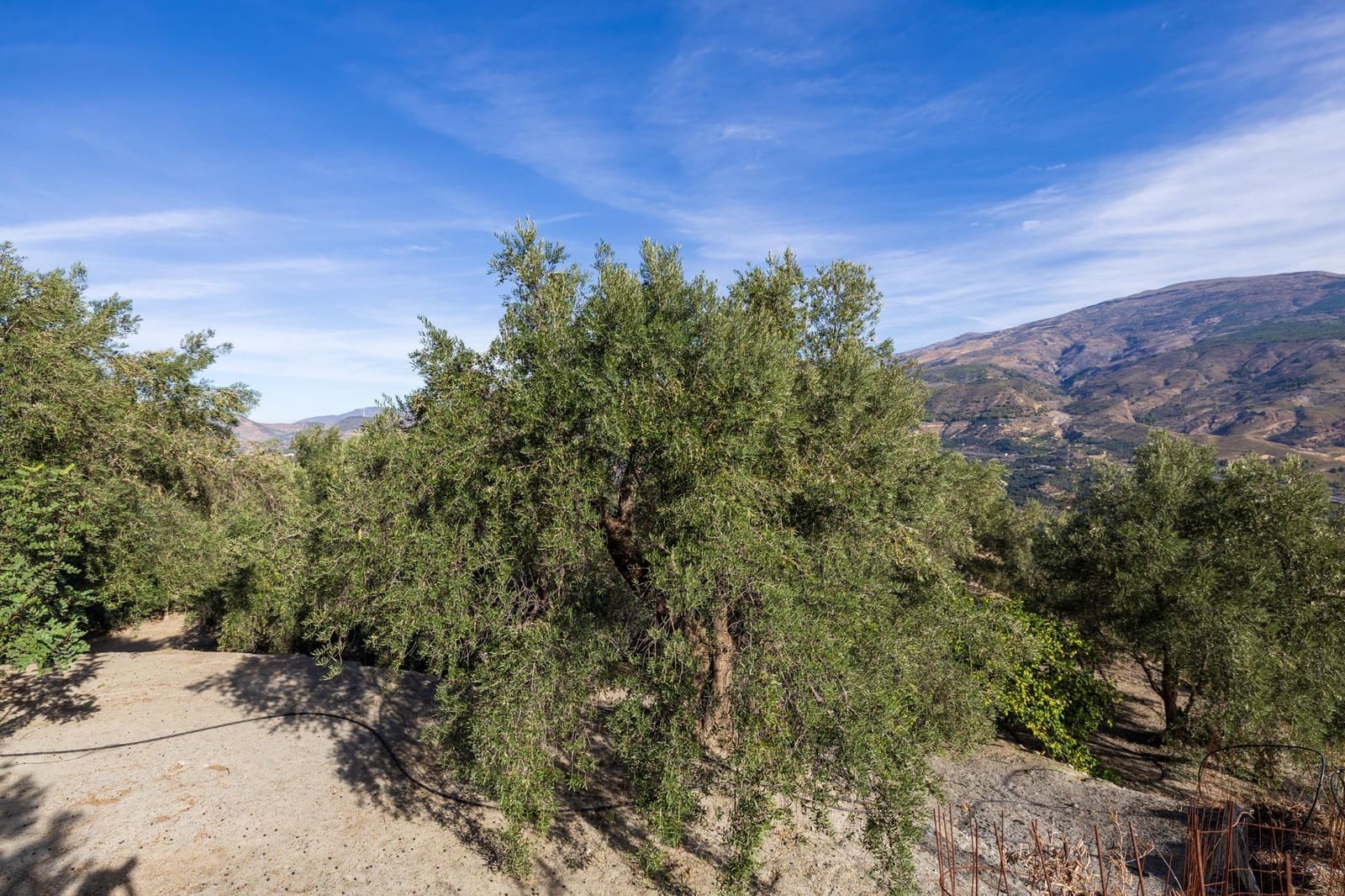 Terreno Não Urbanizado para venda em Lecrin - 140 000 € (Ref: 9674899)