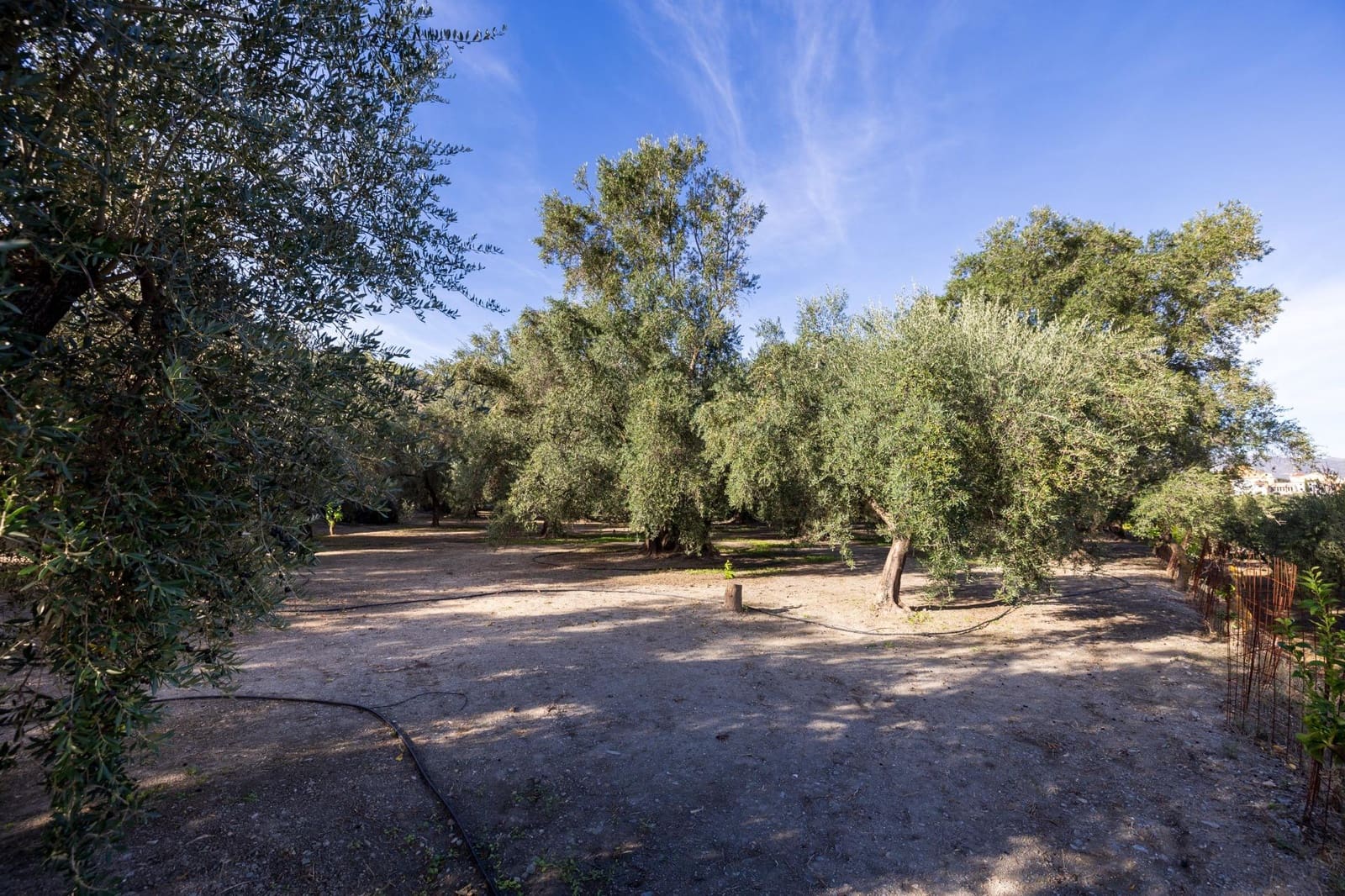 Terreno Não Urbanizado para venda em Lecrin - 140 000 € (Ref: 9674899)