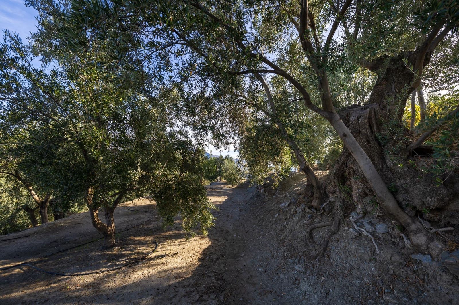 Terreno Não Urbanizado para venda em Lecrin - 140 000 € (Ref: 9674899)