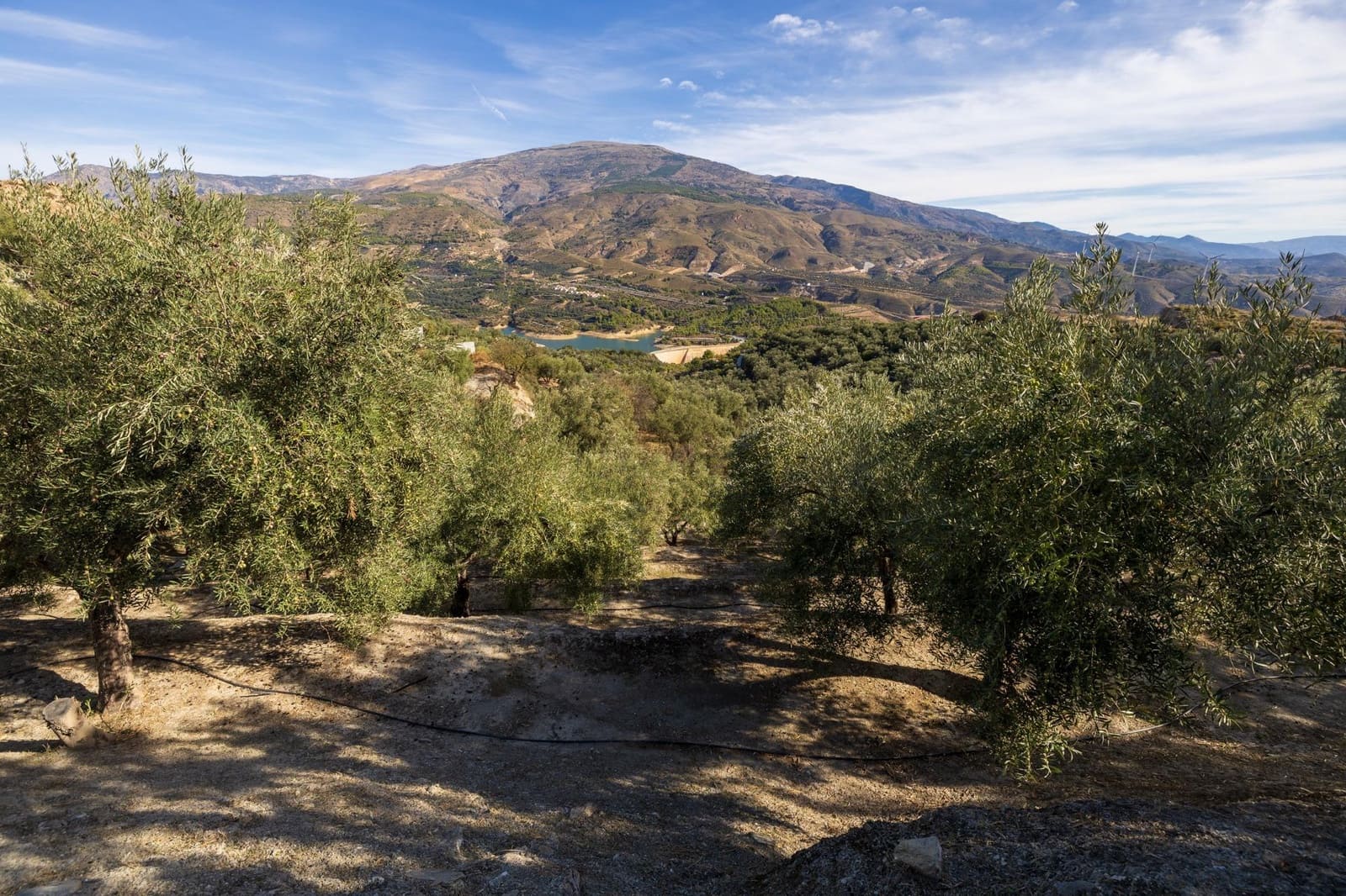 Terreno Não Urbanizado para venda em Lecrin - 140 000 € (Ref: 9674899)