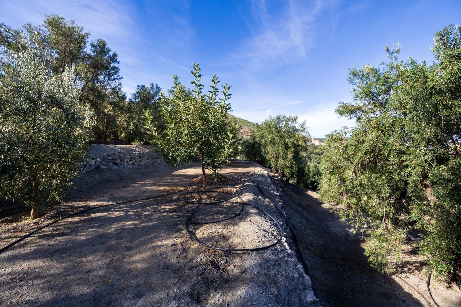 Terreno Não Urbanizado para venda em Lecrin - 140 000 € (Ref: 9674899)