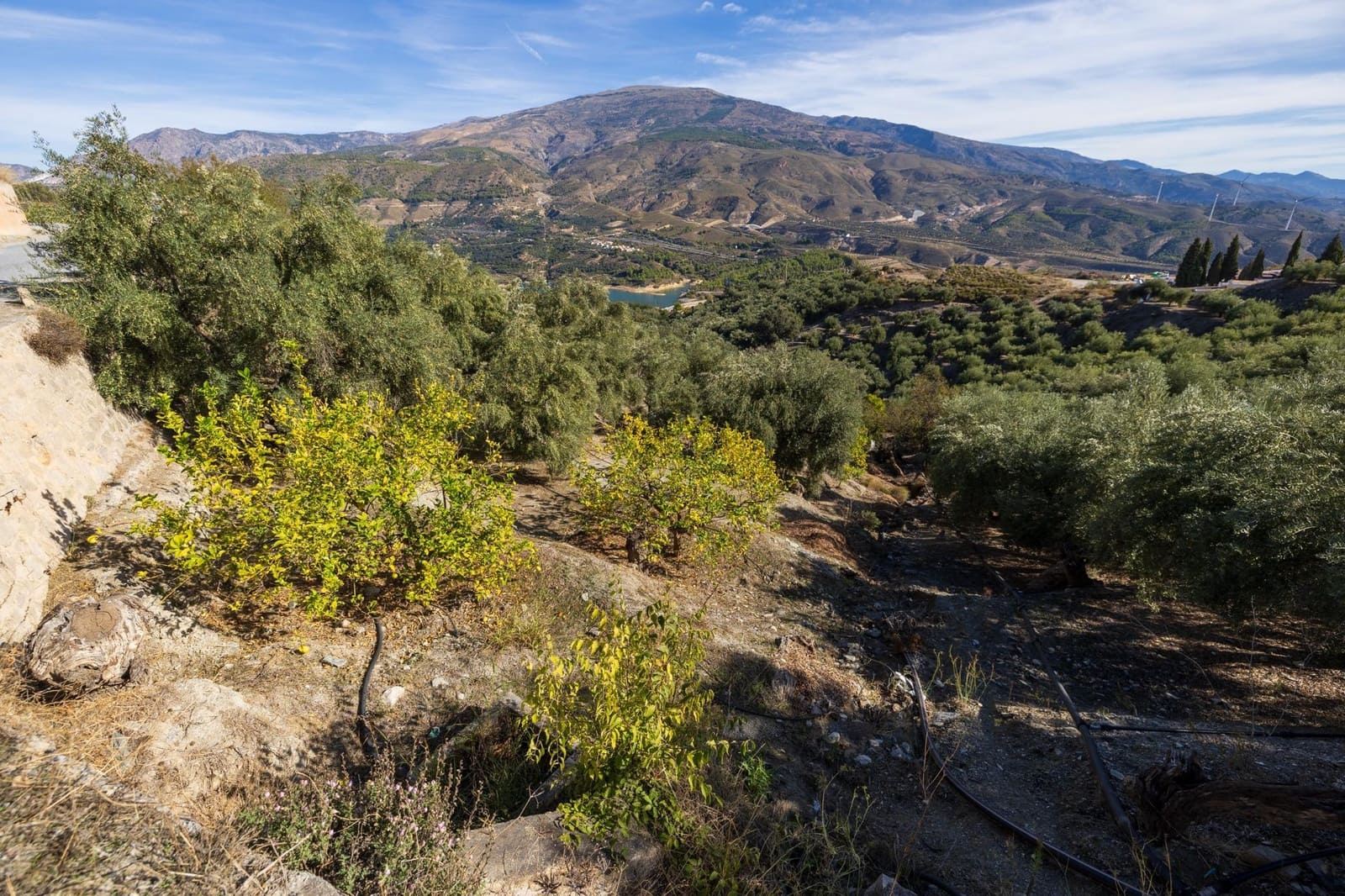 Terreno Não Urbanizado para venda em Lecrin - 140 000 € (Ref: 9674899)