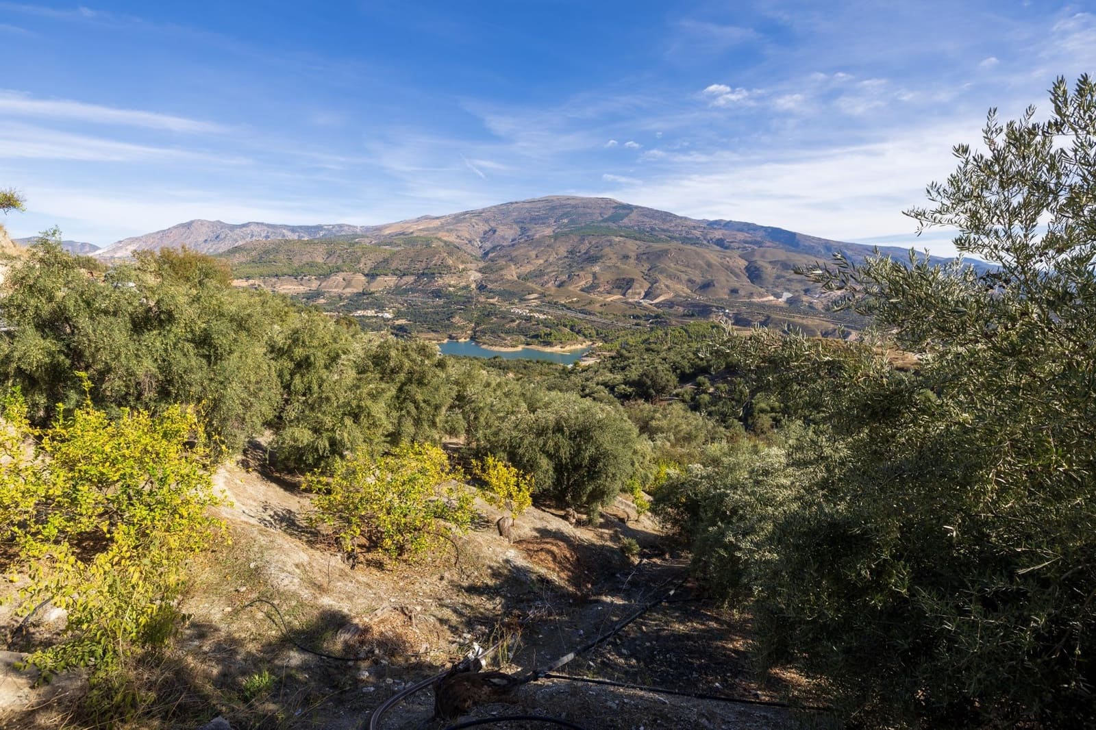 Terreno Não Urbanizado para venda em Lecrin - 140 000 € (Ref: 9674899)