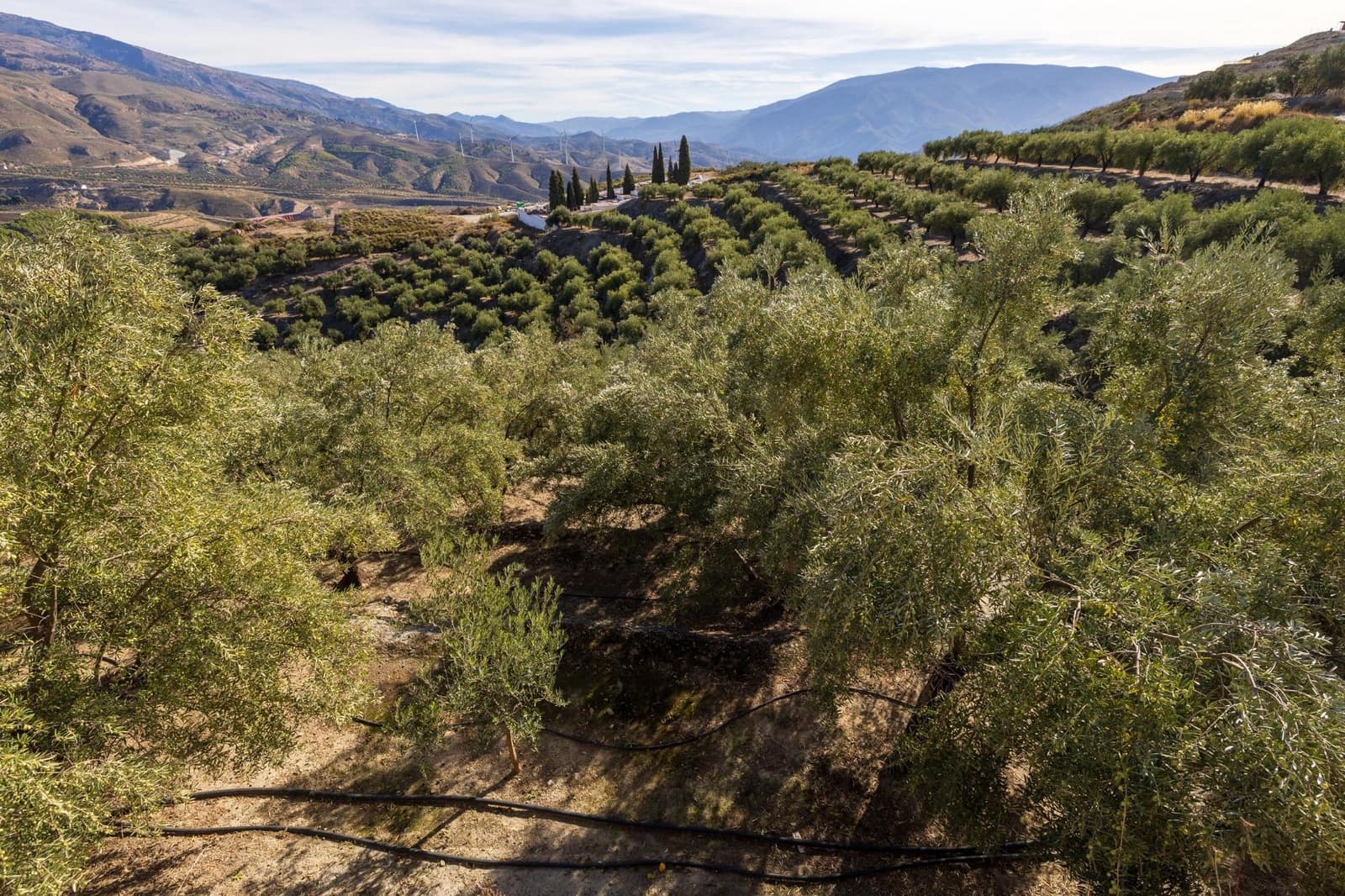 Terreno Não Urbanizado para venda em Lecrin - 140 000 € (Ref: 9674899)