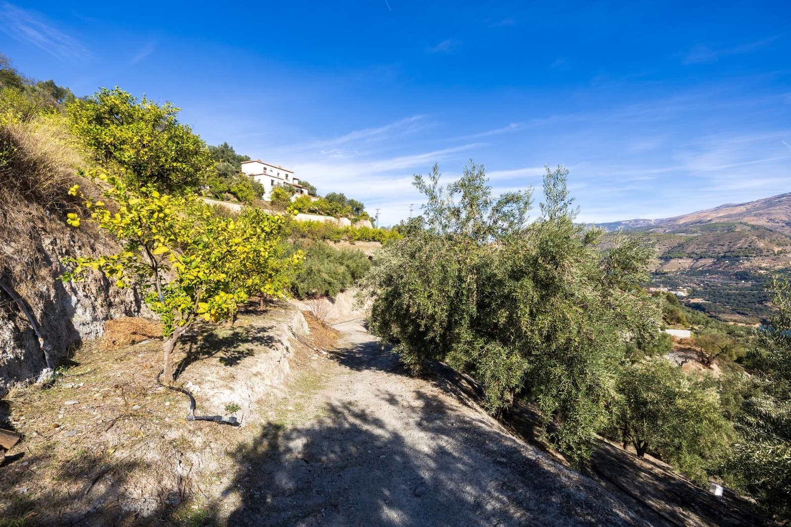 Terreno Não Urbanizado para venda em Lecrin - 140 000 € (Ref: 9674899)