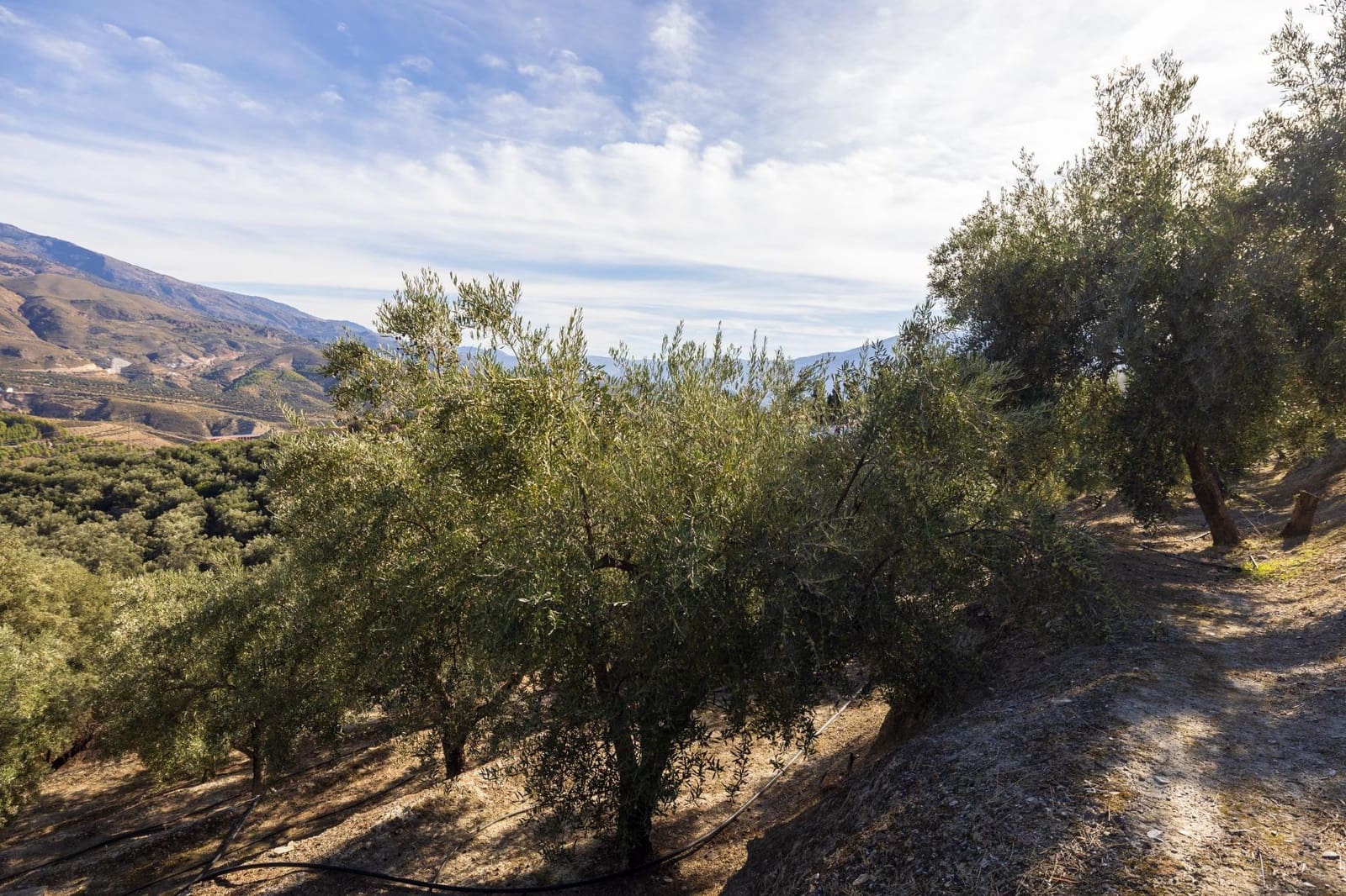 Terreno Não Urbanizado para venda em Lecrin - 140 000 € (Ref: 9674899)