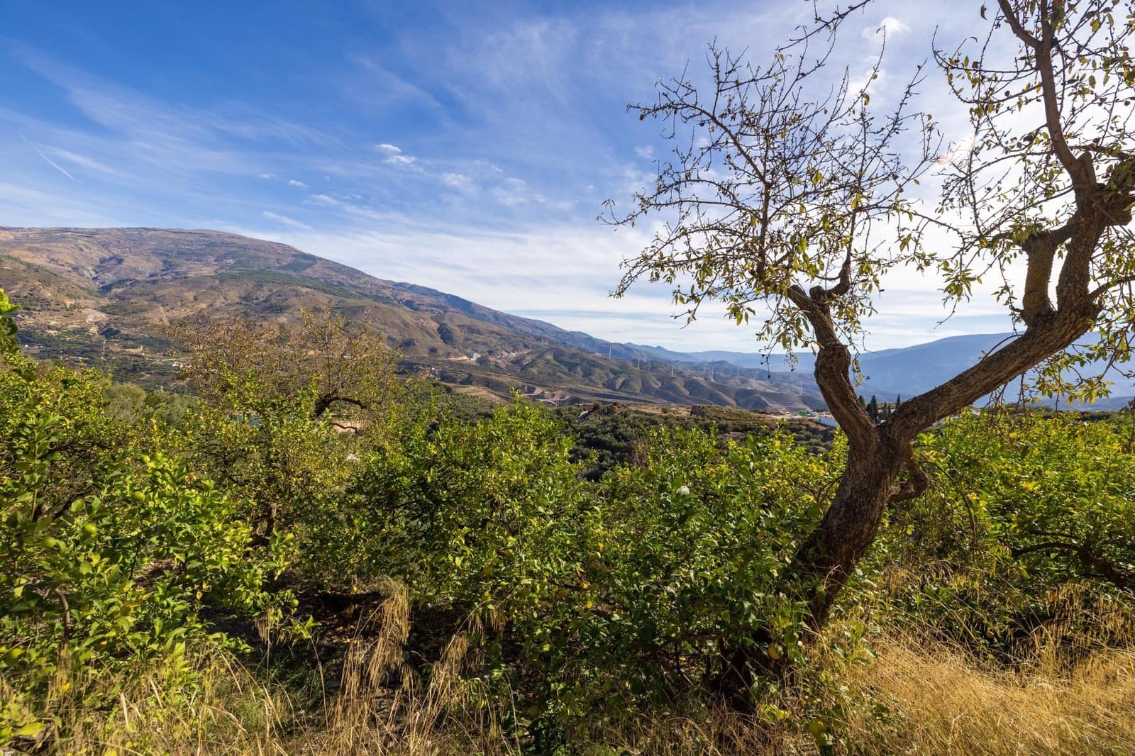 Terreno Não Urbanizado para venda em Lecrin - 140 000 € (Ref: 9674899)