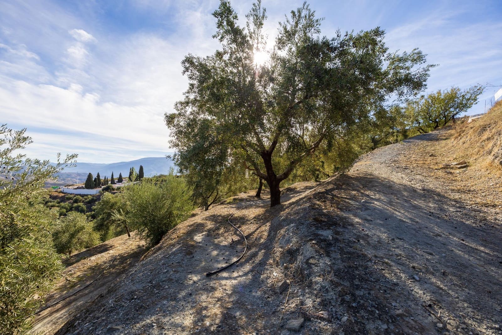 Terreno Não Urbanizado para venda em Lecrin - 140 000 € (Ref: 9674899)