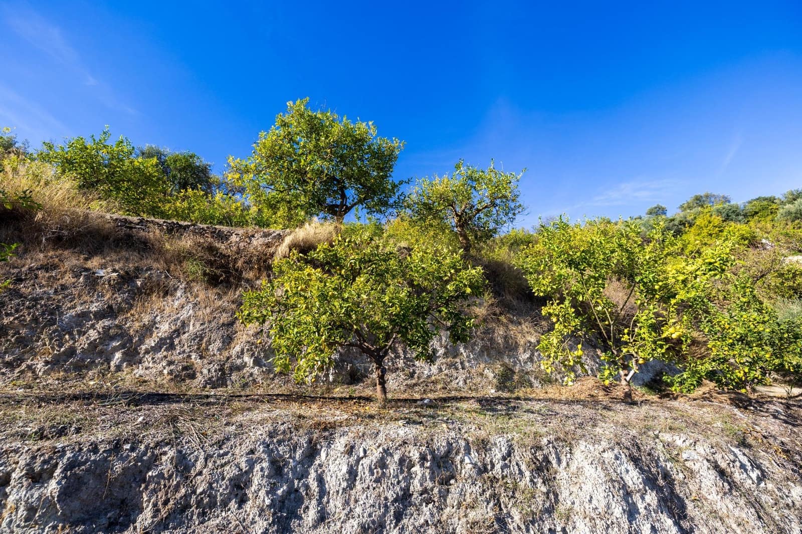 Terreno Não Urbanizado para venda em Lecrin - 140 000 € (Ref: 9674899)