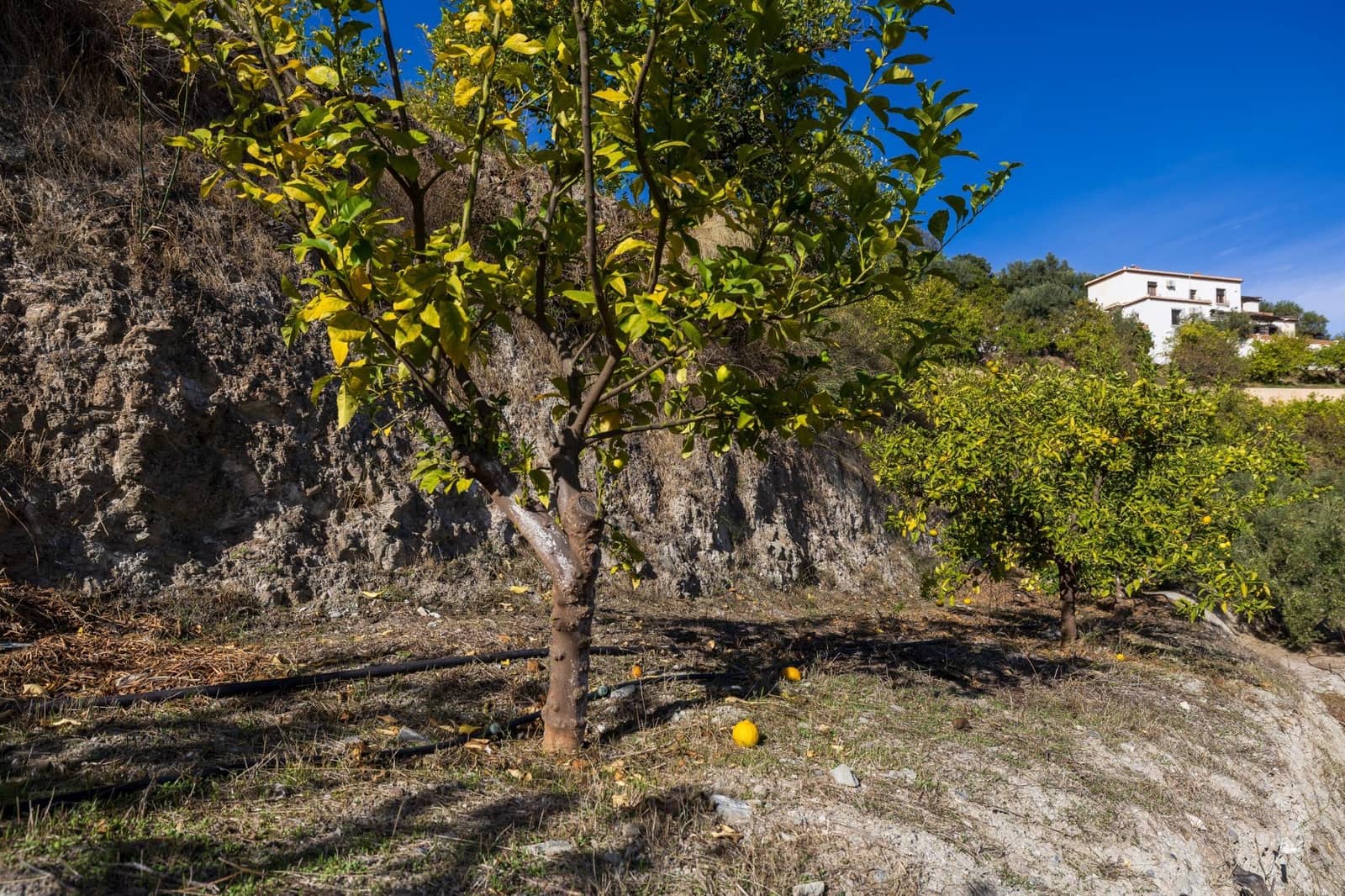 Terreno Não Urbanizado para venda em Lecrin - 140 000 € (Ref: 9674899)