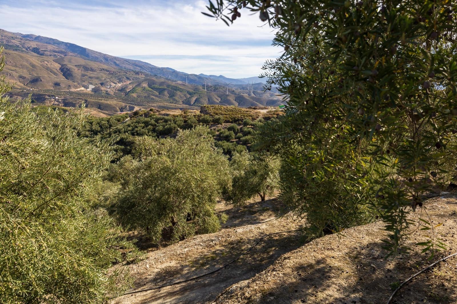 Terreno Não Urbanizado para venda em Lecrin - 140 000 € (Ref: 9674899)