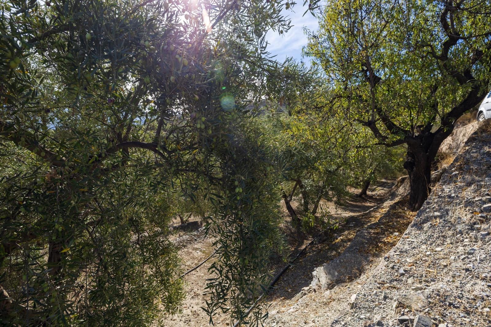 Terreno Não Urbanizado para venda em Lecrin - 140 000 € (Ref: 9674899)