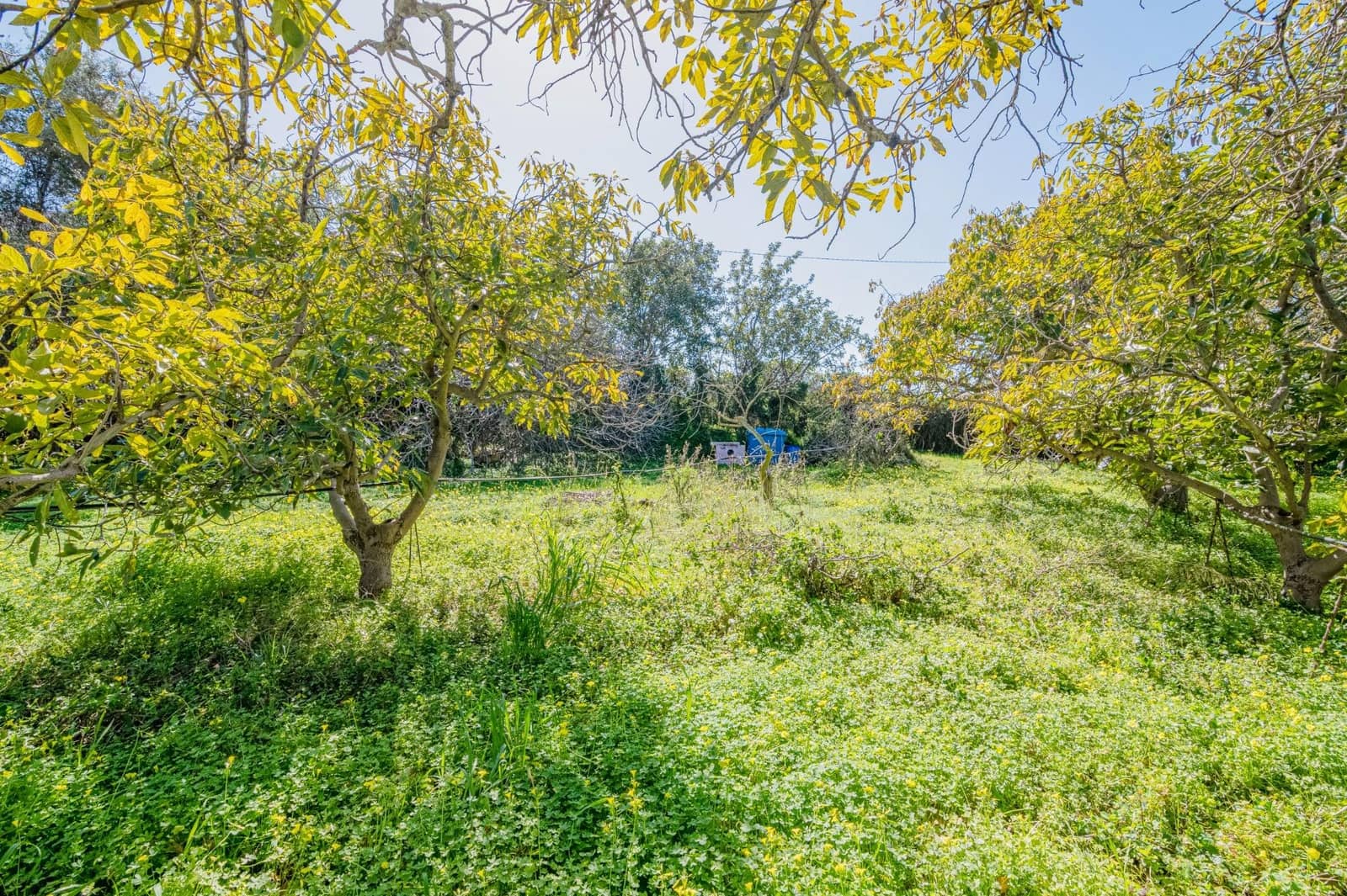 4 sypialnia Willa na sprzedaż w Motril z basenem garażem - 485 000 € (Ref: 9674901)