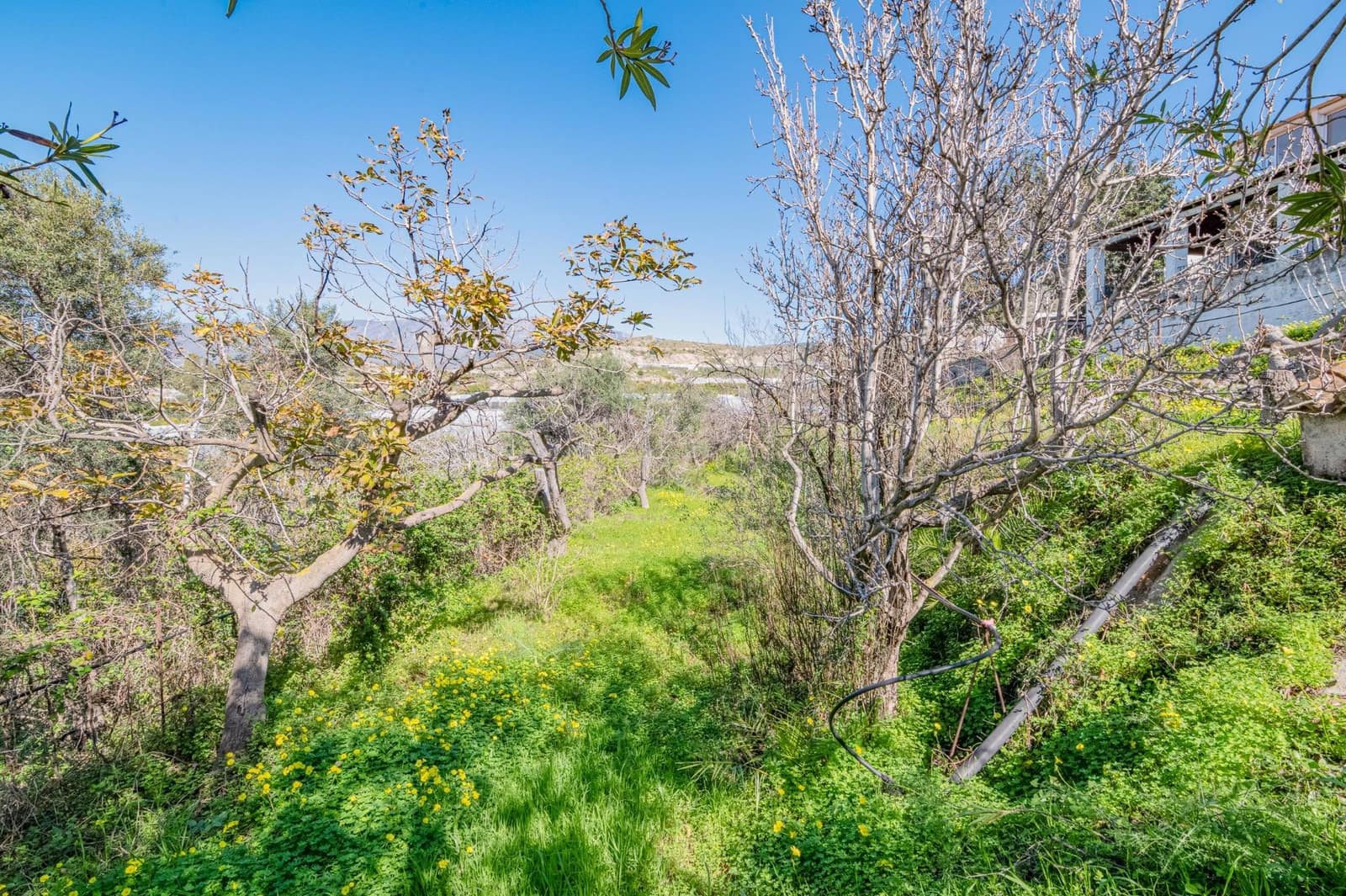 4 sypialnia Willa na sprzedaż w Motril z basenem garażem - 485 000 € (Ref: 9674901)