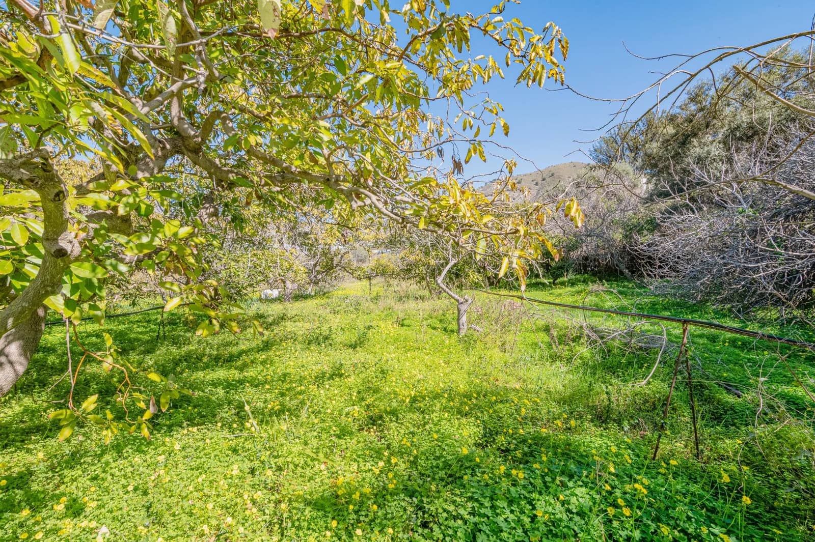 4 sypialnia Willa na sprzedaż w Motril z basenem garażem - 485 000 € (Ref: 9674901)