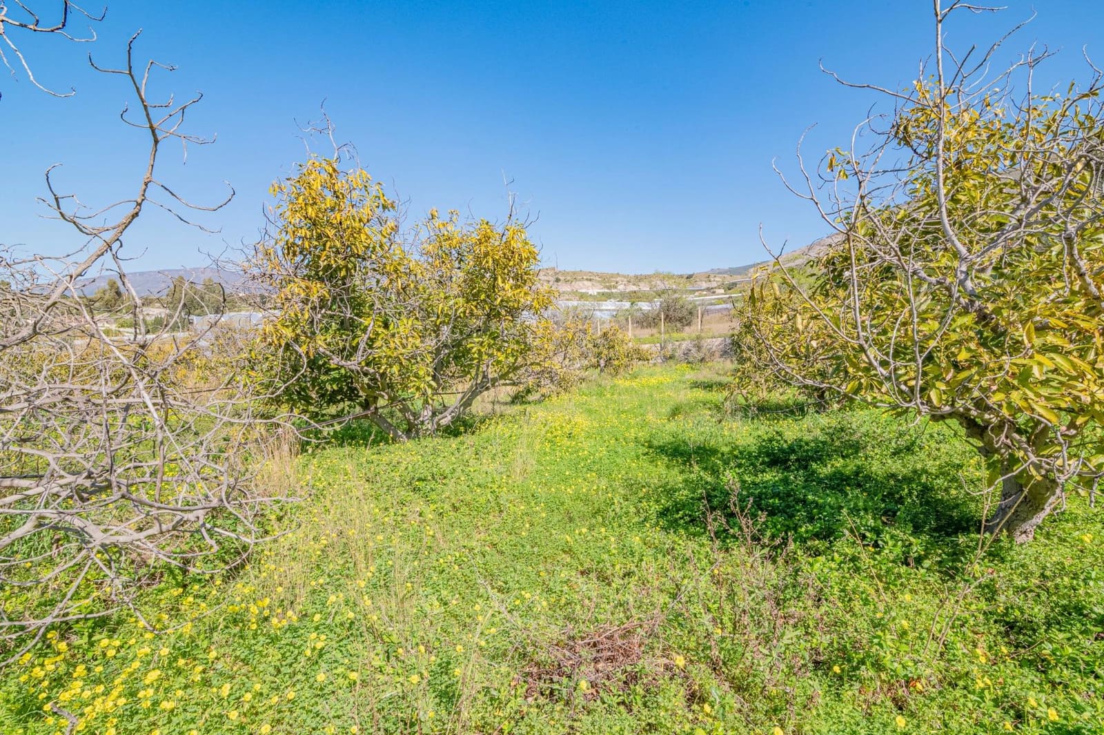 4 sypialnia Willa na sprzedaż w Motril z basenem garażem - 485 000 € (Ref: 9674901)