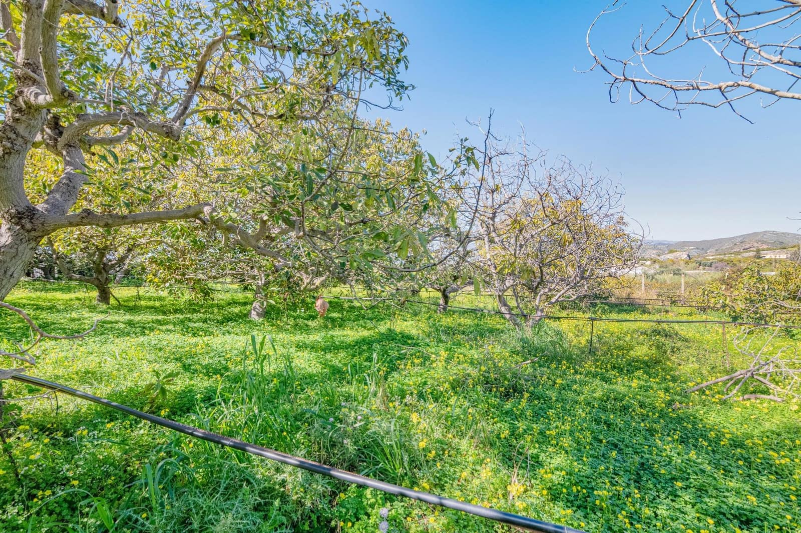 4 sypialnia Willa na sprzedaż w Motril z basenem garażem - 485 000 € (Ref: 9674901)