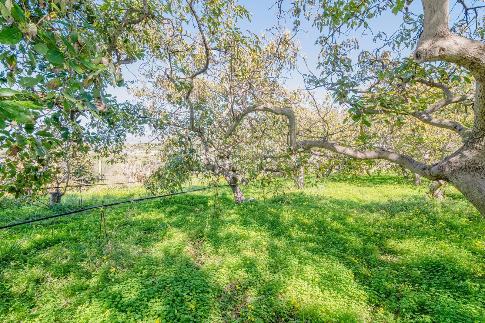 4 sypialnia Willa na sprzedaż w Motril z basenem garażem - 485 000 € (Ref: 9674901)