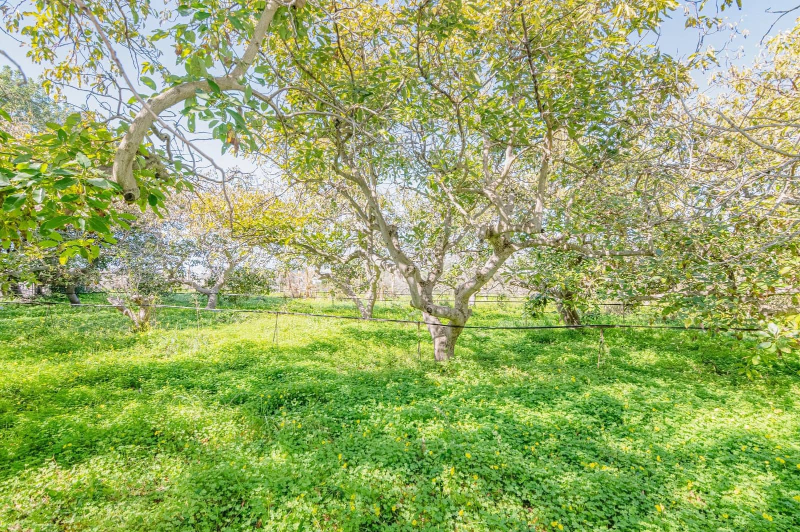 4 sypialnia Willa na sprzedaż w Motril z basenem garażem - 485 000 € (Ref: 9674901)